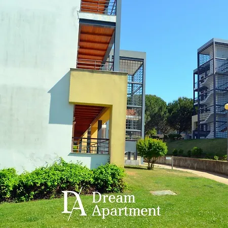 Apartment Dream
